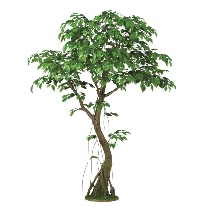 人工観葉植物 ベンシャミナスプラッシュ コアッド 230 ポット付き 高さ230cm （P13-99355) （代引き不可） インテリアグリーン フェイク