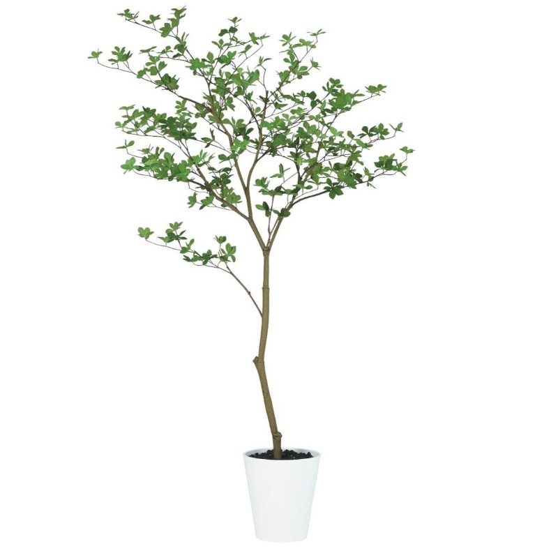人工観葉植物 ドウダンツツジ FST 160 ポット付き 高さ160cm （P77-99375) （代引き不可） インテリアグリーン フェイクグリーン