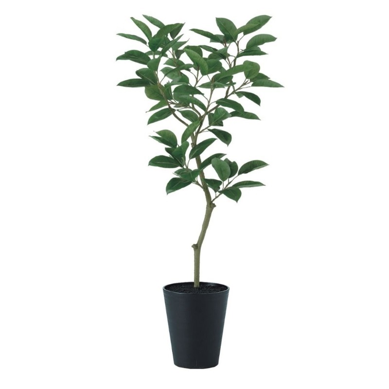 人工観葉植物 デコラゴム FST 150 ポット付き 高さ150cm （P50-99389) （代引き不可） インテリアグリーン フェイクグリーン