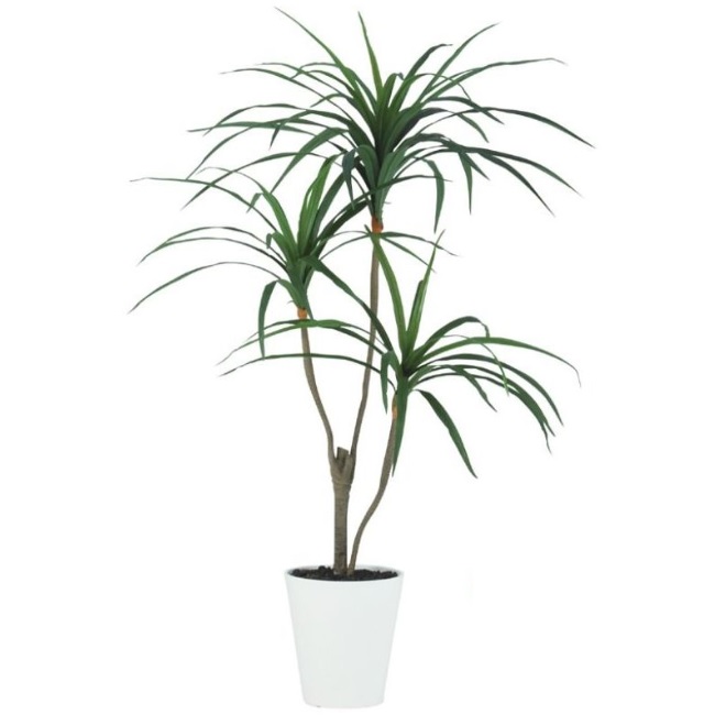 人工観葉植物 コンシンネ 120 ポット付き 高さ120cm （P62-99402) （代引き不可） インテリアグリーン フェイクグリーン