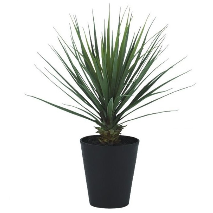 人工観葉植物 ユッカ・ロストラータ 70 ポット付き 高さ70cm （P65-99408) （代引き不可） インテリアグリーン フェイクグリーン