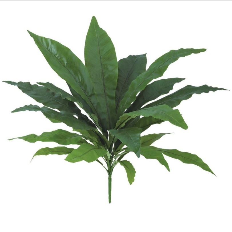 人工観葉植物 オオタニワタリ ブッシュ 長さ55cm （P136-99431) （代引き不可） インテリアグリーン フェイクグリーン