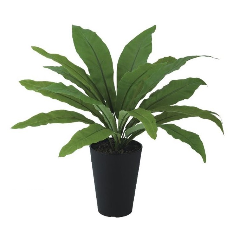 人工観葉植物 タニワタリ ポット付き 高さ40cm （P97-99458) （代引き不可） インテリアグリーン フェイクグリーン