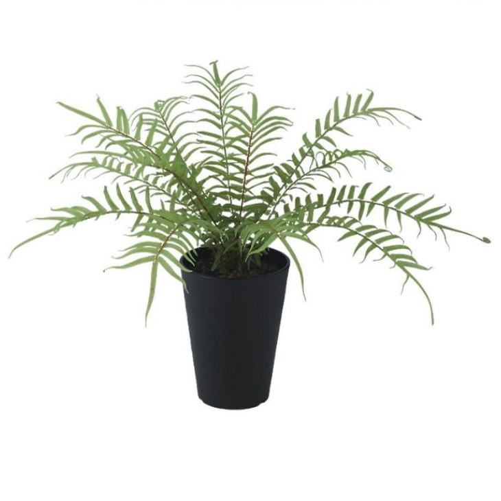 人工観葉植物 ヒリュウシダ ポット付き 高さ35cm （P99-99470) （代引き不可） インテリアグリーン フェイクグリーン