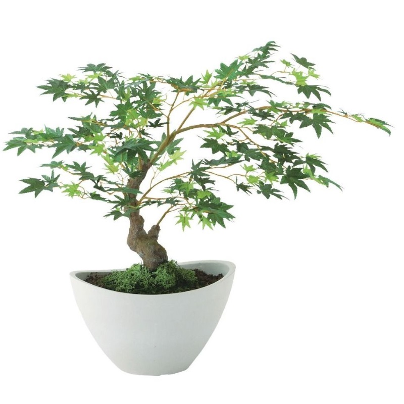 人工観葉植物 ヤマモミジ ボウル GREEN ポット付き 高さ45cm （P121-99519) （代引き不可） インテリアグリーン フェイクグリーン