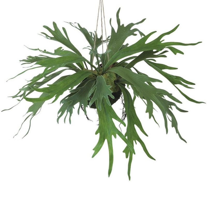 人工観葉植物 コウモリラン モスボール ハンキング 長さ40cm （P21-99550) （代引き不可） インテリアグリーン フェイクグリーン