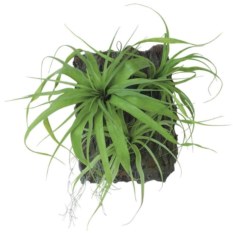 人工観葉植物 チランジア デコ ウォールハンキング 高さ40cm （P23-99559) （代引き不可） インテリアグリーン フェイクグリーン