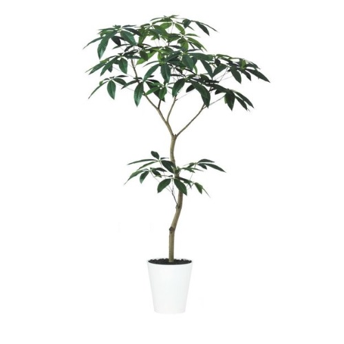 人工観葉植物 パキラ FST 150 ポット付き 高さ150cm （P52-99643) （代引き不可） インテリアグリーン フェイクグリーン